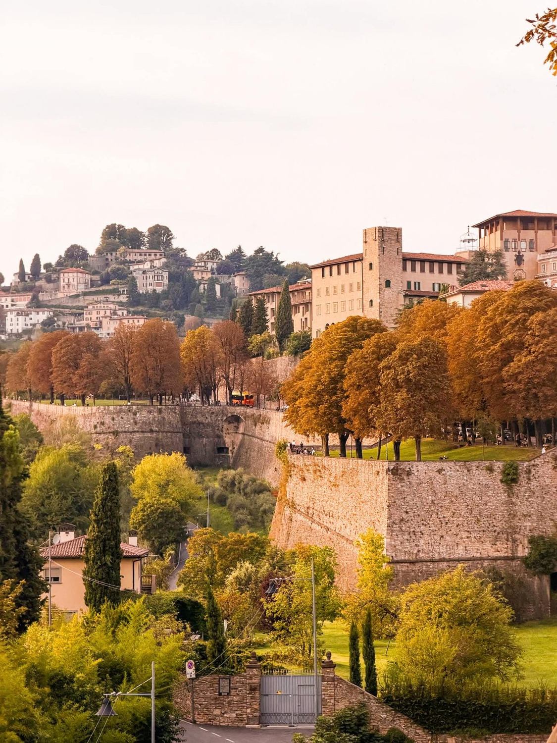 Panorama Città Alta w Bergamo